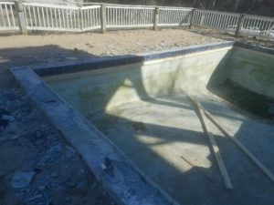 duck concrete pools